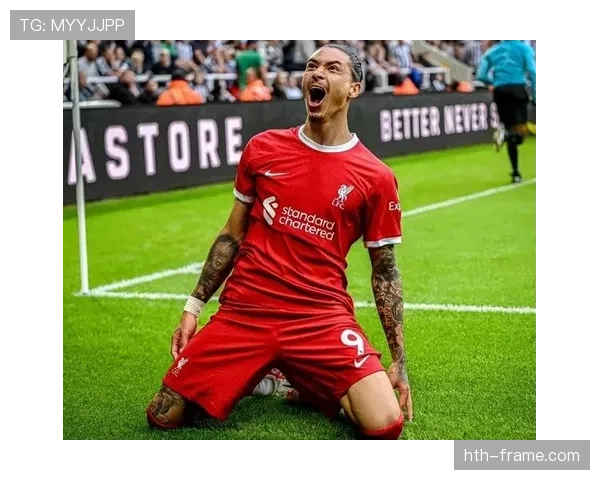 努涅斯本菲卡时期荣誉解析:成名基础是否已奠定 努涅斯本菲卡时期荣誉解析:成名基础是否已奠定